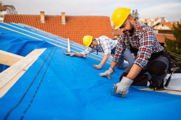 Steel Roofing in Baxter Village, SC